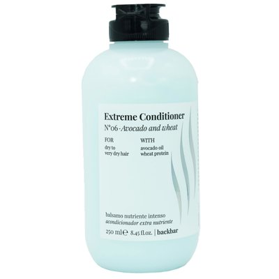 EXTREME CONDITIONER No06 - Avocado and Wheat Кондиционер для сухих волос 250ml PF020525 фото